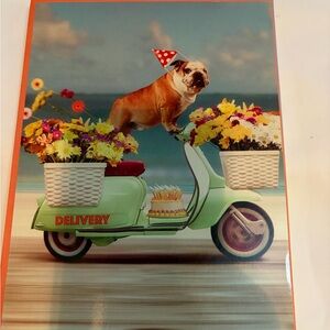 Leanin Tree Dog Greeting Cards • Funny & Cute Mixed Designs • New w/ Envelopes 8